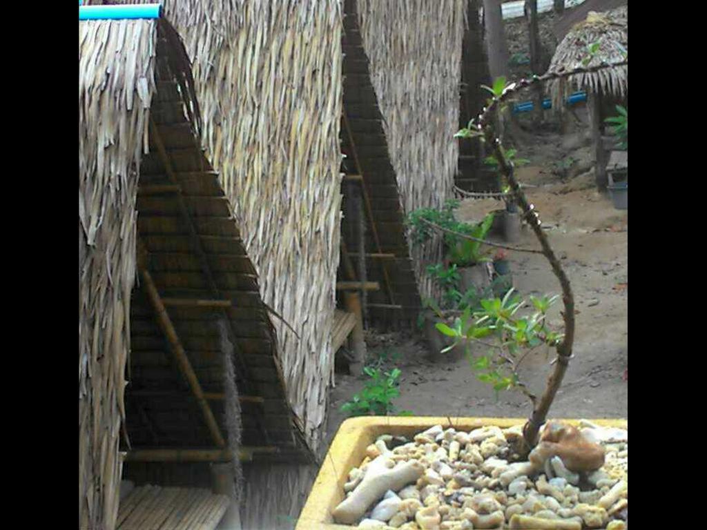 Lipe Camping Zone Luaran gambar