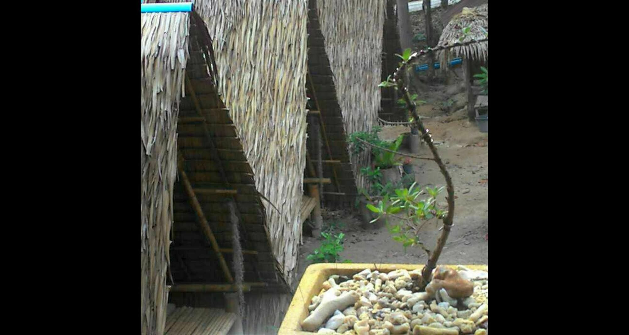 Lipe Camping Zone Luaran gambar